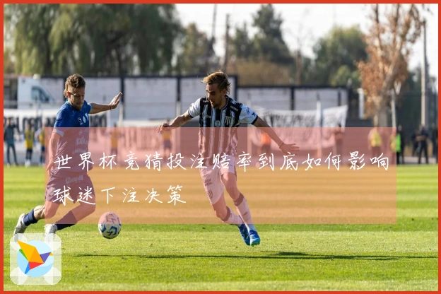 世界杯竞猜投注赔率到底如何影响球迷下注决策