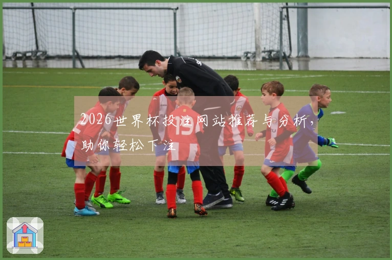 2026世界杯投注网站推荐与分析，助你轻松下注