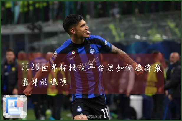 2026世界杯投注平台该如何选择最靠谱的选项